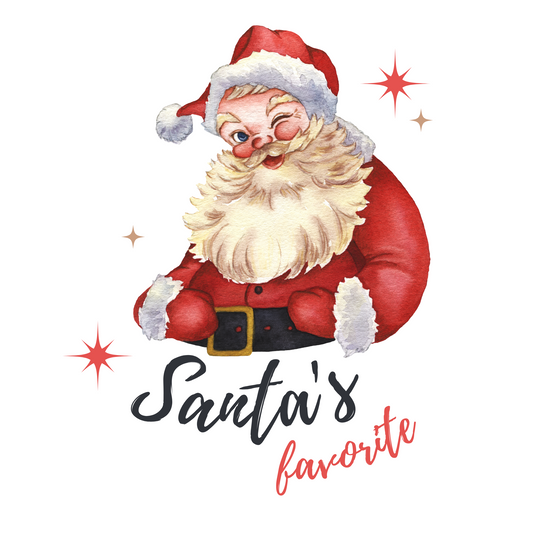 Christmas Stickers - Pack of 20 - Santas Favourite